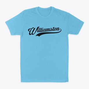Williamston Michigan Vintage Team Classic Dad T-Shirt