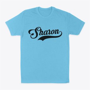Sharon Wisconsin Vintage Team Classic Dad T-Shirt