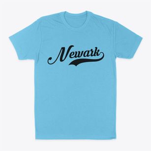 Newark Delaware Vintage Team Classic Dad T-Shirt