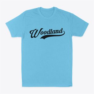 Woodland Wisconsin Vintage Team Classic Dad T-Shirt