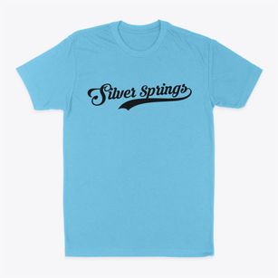 Silver Springs New York Vintage Team Classic Dad T-Shirt