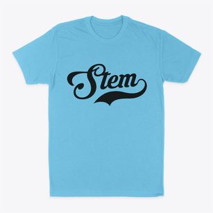Stem North Carolina Vintage Team Classic Dad T-Shirt