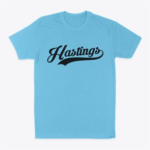 Hastings Michigan Vintage Team Classic Dad T-Shirt