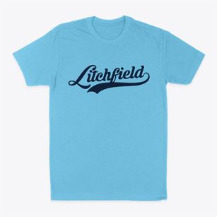 Litchfield Illinois Vintage Team Classic Dad T-Shirt