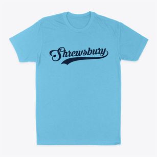 Shrewsbury Missouri Vintage Team Classic Dad T-Shirt