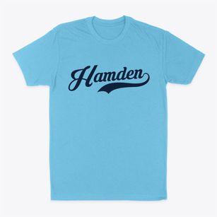 Hamden New York Vintage Team Classic Dad T-Shirt