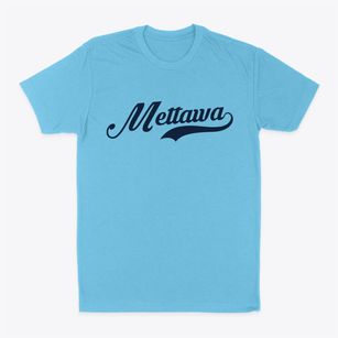 Mettawa Illinois Vintage Team Classic Dad T-Shirt