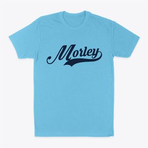 Morley Michigan Vintage Team Classic Dad T-Shirt