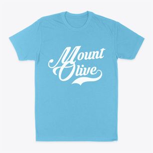 Mount Olive Illinois Vintage Team Classic Dad T-Shirt