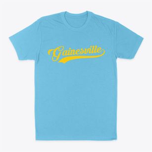 Gainesville New York Vintage Team Classic Dad T-Shirt