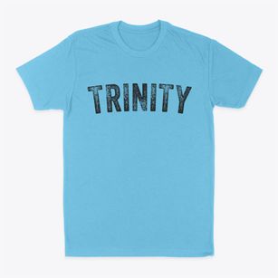 Trinity Texas Timeless Retro Classic Dad T-Shirt