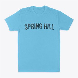 Spring Hill Tennessee Timeless Retro Classic Dad T-Shirt