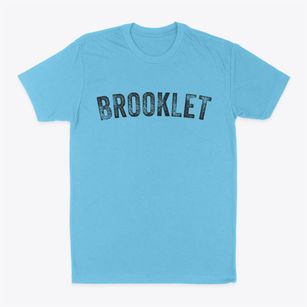 Brooklet Georgia Timeless Retro Classic Dad T-Shirt