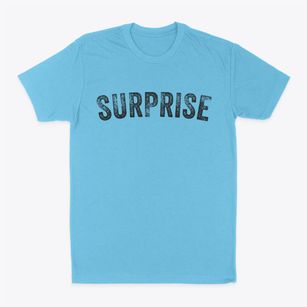 Surprise Arizona Timeless Retro Classic Dad T-Shirt