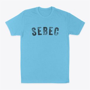 Sebec Maine Timeless Retro Classic Dad T-Shirt