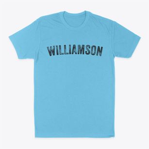 Williamson Illinois Timeless Retro Classic Dad T-Shirt