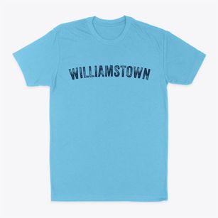 Williamstown Vermont Timeless Retro Classic Dad T-Shirt