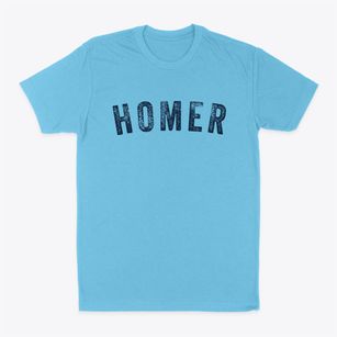 Homer Illinois Timeless Retro Classic Dad T-Shirt