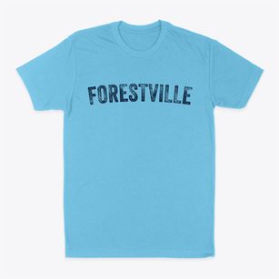 Forestville New York Timeless Retro Classic Dad T-Shirt