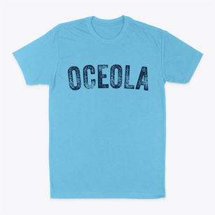 Oceola Ohio Timeless Retro Classic Dad T-Shirt