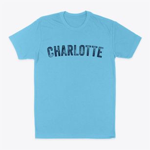 Charlotte Michigan Timeless Retro Classic Dad T-Shirt