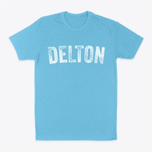 Delton Wisconsin Timeless Retro Classic Dad T-Shirt
