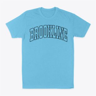 Brookline Massachusetts Trendy Block Classic Dad T-Shirt