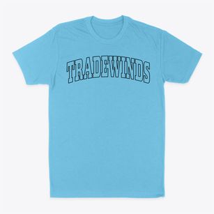 Tradewinds Texas Trendy Block Classic Dad T-Shirt