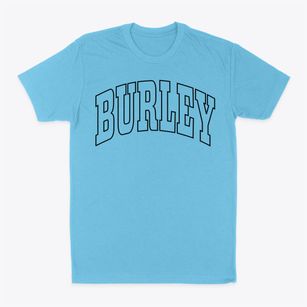 Burley Idaho Trendy Block Classic Dad T-Shirt