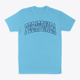 Pecatonica Illinois Trendy Block Classic Dad T-Shirt
