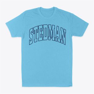 Stedman North Carolina Trendy Block Classic Dad T-Shirt