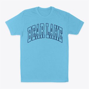 Bear Lake Wisconsin Trendy Block Classic Dad T-Shirt