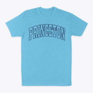 Princeton Indiana Trendy Block Classic Dad T-Shirt