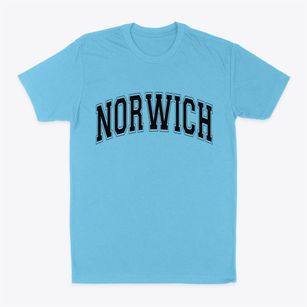 Norwich New York Varsity Classic Dad T-Shirt