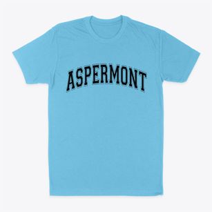 Aspermont Texas Varsity Classic Dad T-Shirt