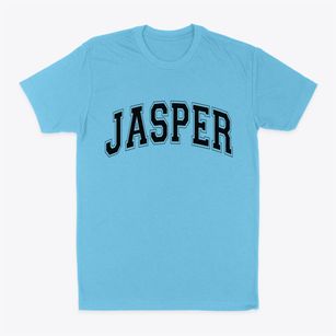 Jasper Alabama Varsity Classic Dad T-Shirt