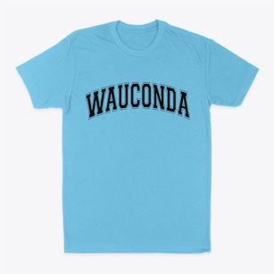 Wauconda Illinois Varsity Classic Dad T-Shirt