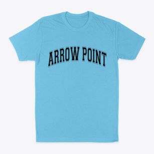 Arrow Point Missouri Varsity Classic Dad T-Shirt