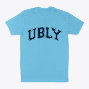 Ubly Michigan Varsity Classic Dad T-Shirt