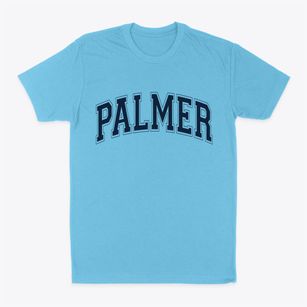 Palmer Iowa Varsity Classic Dad T-Shirt