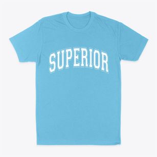 Superior Wisconsin Varsity Classic Dad T-Shirt