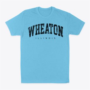 Wheaton Illinois Urban Vibe Classic Dad T-Shirt
