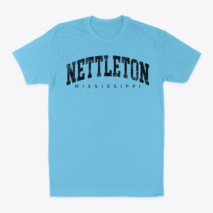 Nettleton Mississippi Urban Vibe Classic Dad T-Shirt