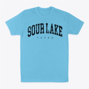 Sour Lake Texas Urban Vibe Classic Dad T-Shirt