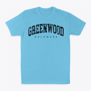 Greenwood Delaware Urban Vibe Classic Dad T-Shirt