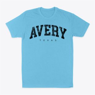 Avery Texas Urban Vibe Classic Dad T-Shirt