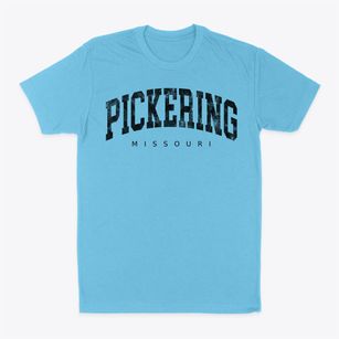 Pickering Missouri Urban Vibe Classic Dad T-Shirt