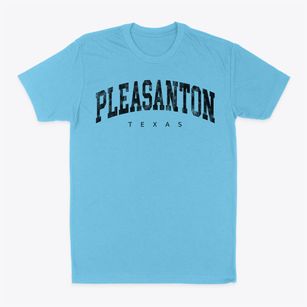 Pleasanton Texas Urban Vibe Classic Dad T-Shirt