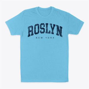 Roslyn New York Urban Vibe Classic Dad T-Shirt
