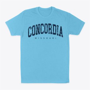Concordia Missouri Urban Vibe Classic Dad T-Shirt
